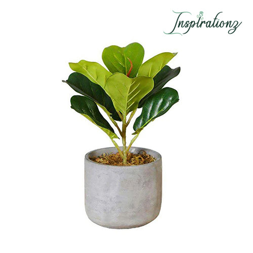 Inspirationz - PANUCO POTTED FAUX FIDDLE PLANT