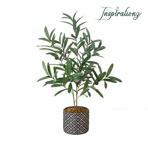 Inspirationz - MADERO POTTED FAUX OLIVE PLANT