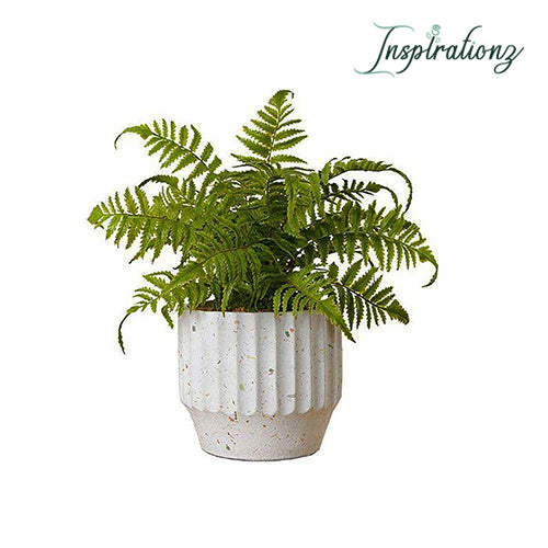 Inspirationz - KUWU POTTED FAUX FERN