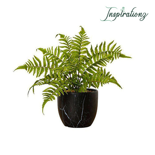 Inspirationz - DASA POTTED FAUX FERN