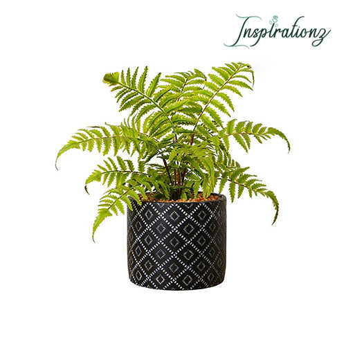 Inspirationz - BALI POTTED FAUX FERN