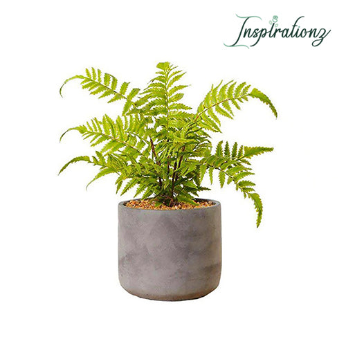 Inspirationz - KUTA POTTED FAUX FERN