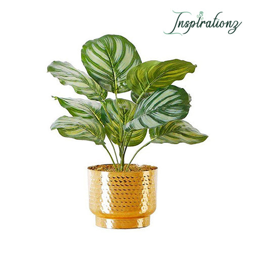 Inspirationz - CALATHEA FAUX POTTED PLANT