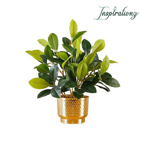 Inspirationz - MORENO POTTED FAUX WATERCRESS PLANT